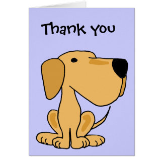 Yellow Labrador Thank You Cards | Zazzle