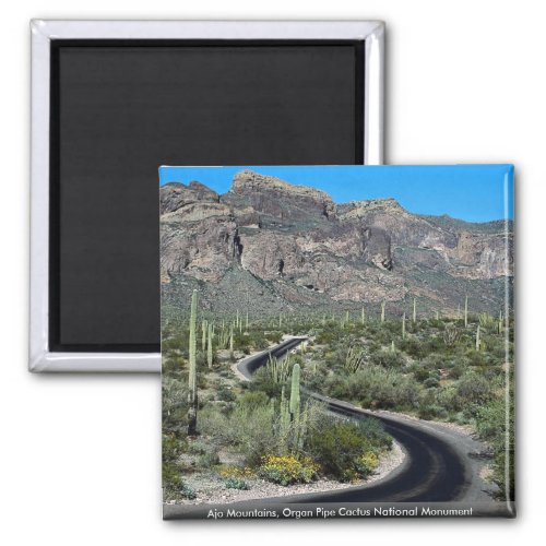 Ajo Mountains Organ Pipe Cactus National Monument Magnet