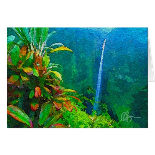 Akaka Falls Cards (Front Horizontal)