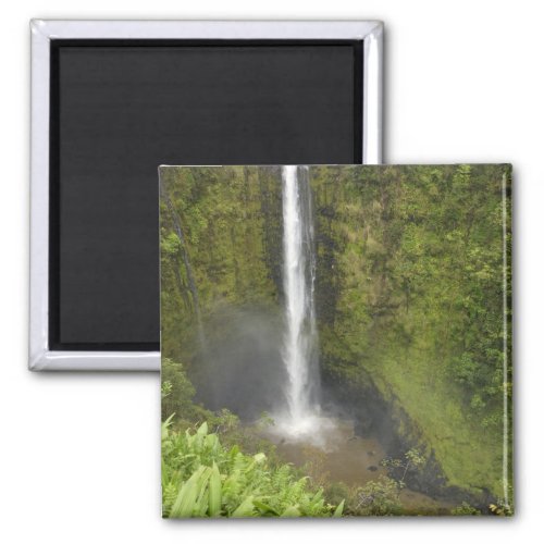 Akaka Falls Hamakua Coast Island of Hawaii Magnet