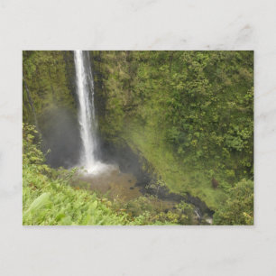 Akaka Falls, Hamakua Coast, Island of Hawaii, Postcard