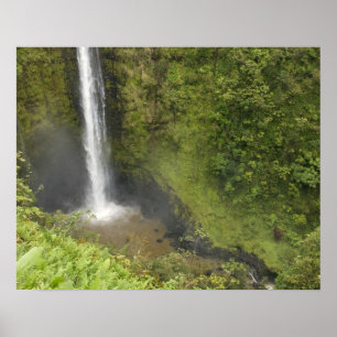 Akaka Falls, Hamakua Coast, Island of Hawaii, Poster