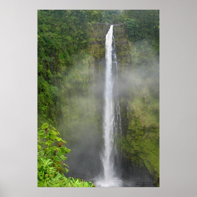 Akaka Falls - Hawaii Poster (Front)