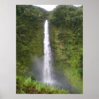 Akaka Falls Hilo, Hawaii Poster