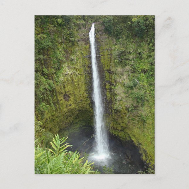Akaka Falls Postcard (Front)