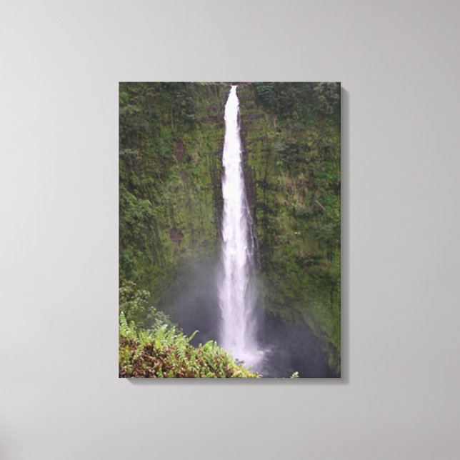 Akaka Falls Waterfall in Hawaii Canvas Print (Front)