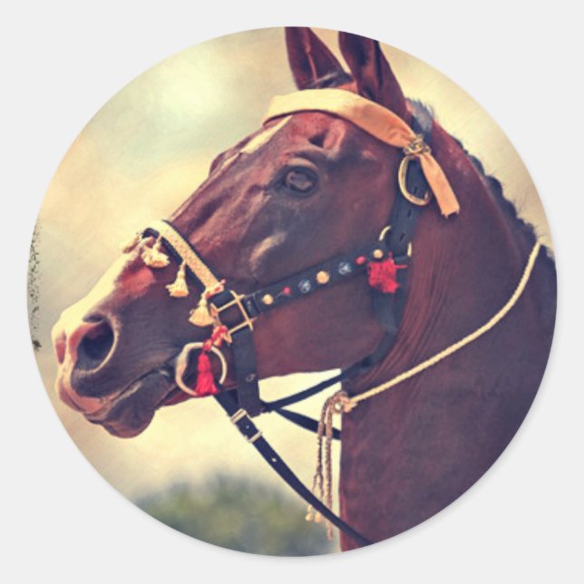 Akhal Teke Classic Round Sticker (Front)