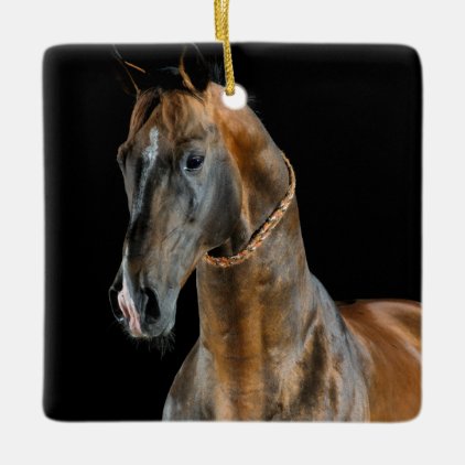 Akhal-Teke Horse Ceramic Ornament