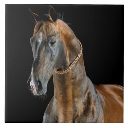 Akhal-Teke Horse Ceramic Tile