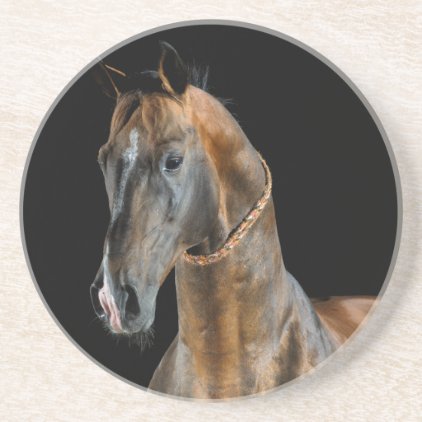 Akhal-Teke Horse Drink Coaster