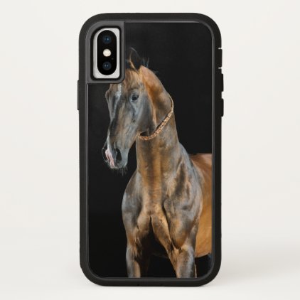 Akhal-Teke Horse iPhone X Case