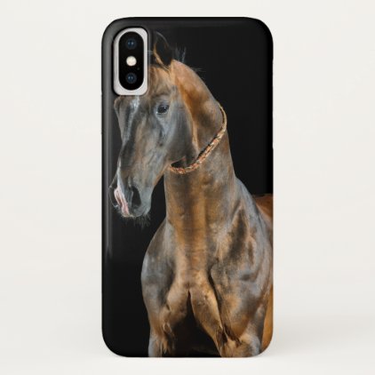 Akhal-Teke Horse iPhone X Case