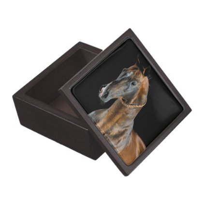 Akhal-Teke Horse Keepsake Box