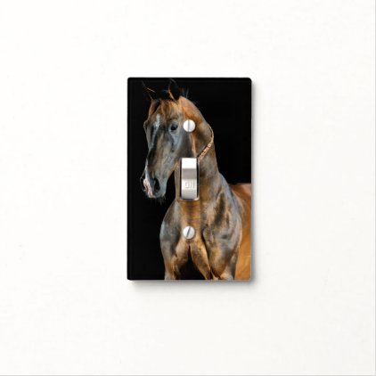 Akhal-Teke Horse Light Switch Cover