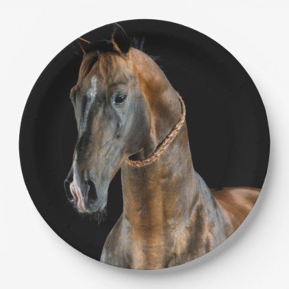 Akhal-Teke Horse Paper Plate