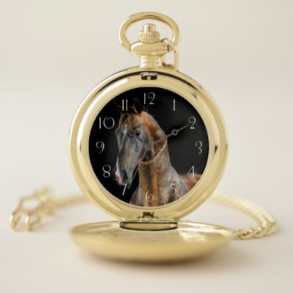 Akhal-Teke Horse Pocket Watch