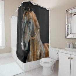 Akhal-Teke Horse Shower Curtain