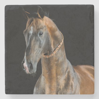 Akhal-Teke Horse Stone Coaster