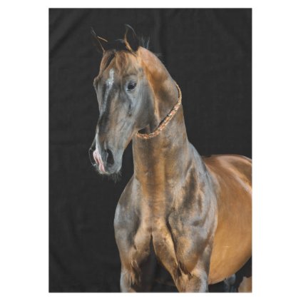 Akhal-Teke Horse Tablecloth