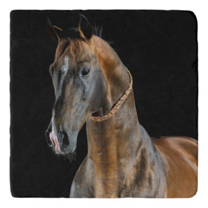 Akhal-Teke Horse Trivet