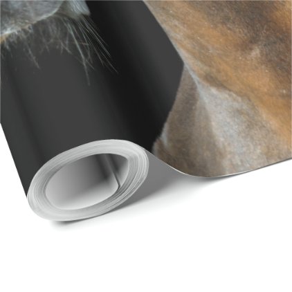 Akhal-Teke Horse Wrapping Paper