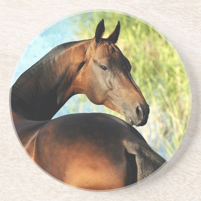 Akhal-teke stallion drink coaster (Front)