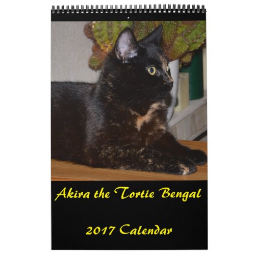 Akira the Tortie Bengal 2017 Medium Calendar