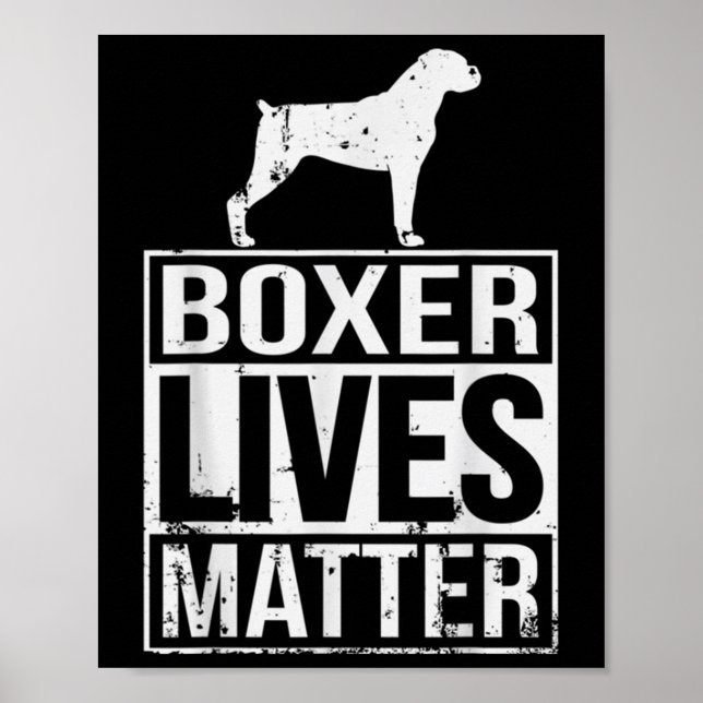 Akiras Fudoboxer Live S Awareness  Poster (Front)