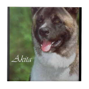 Akita Art Ceramic Tile