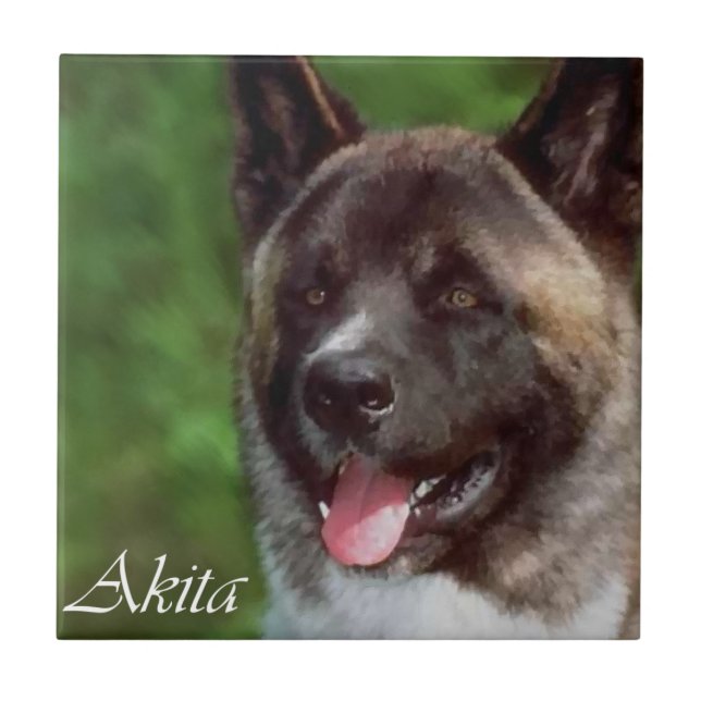 Akita Art Tile (Front)