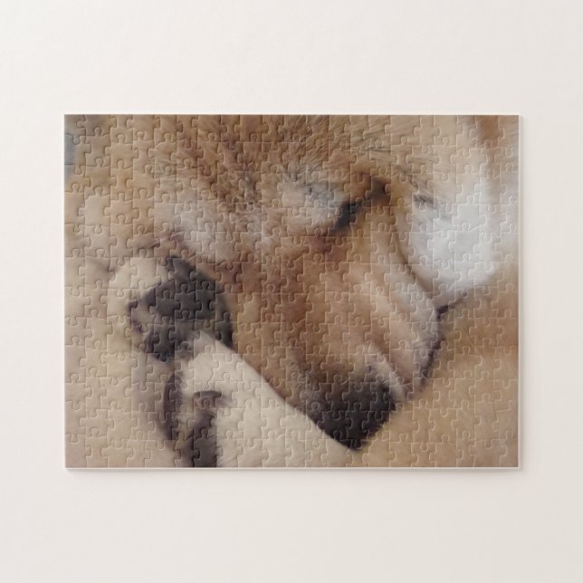akita asleep cuddling paws very cute dog jigsaw puzzle (Horizontal)
