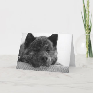 Akita Card