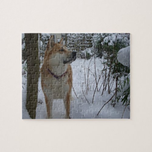 akita dog in snow covered garden shrubs photo jigsaw puzzle