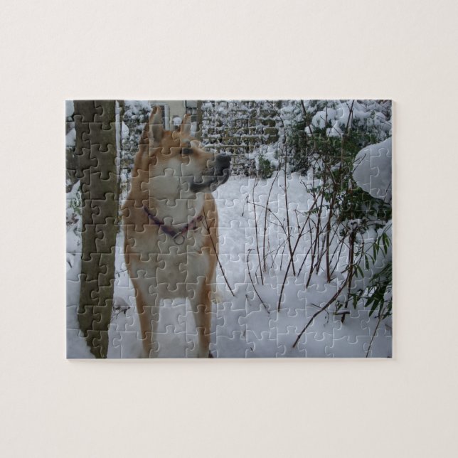 akita dog in snow covered garden shrubs photo jigsaw puzzle (Horizontal)