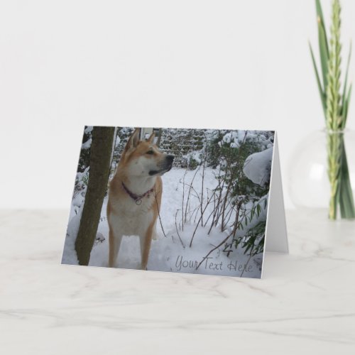 akita dog in the snow covered garden christmas holiday card