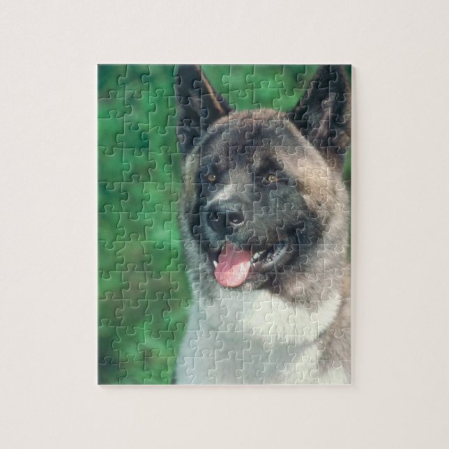 Akita Dog Puzzle (Vertical)
