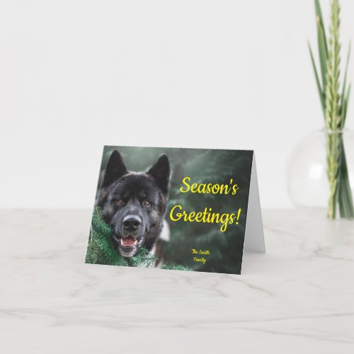 Akita Dog _ Seasons Greetings Christmas Tree Holiday Card