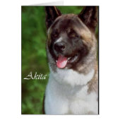 Akita Gifts of Art (Front)