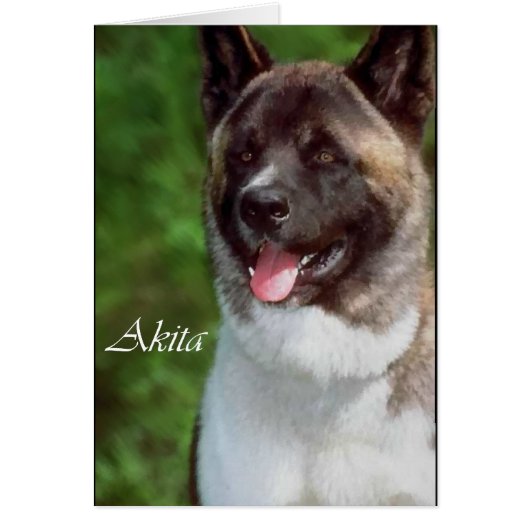 Akita Gifts of Art Cards (Front)