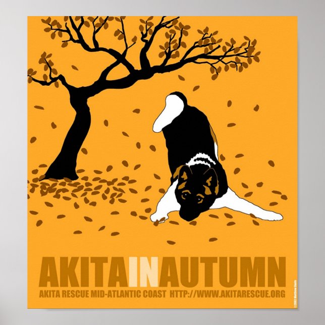 Akita in Autumn (12" x 13") Poster (Front)