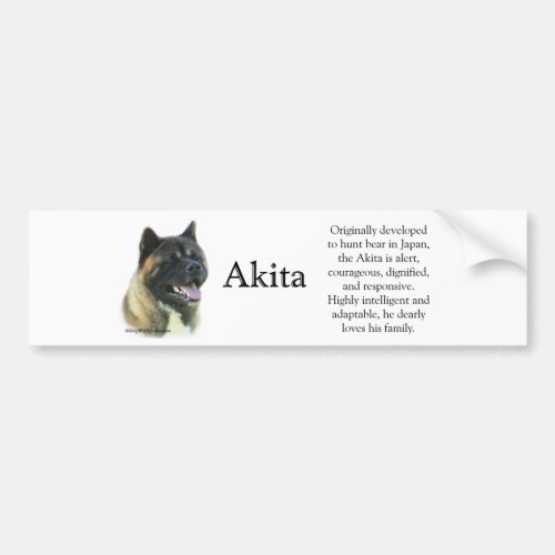 Akita Inu Trivia Bumper Sticker