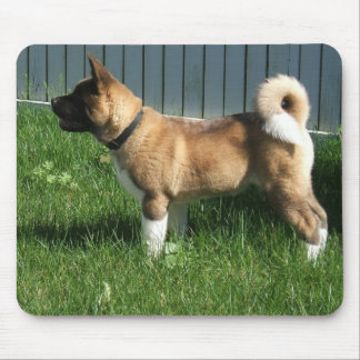 Akita mousepad