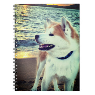 Akita Notebook
