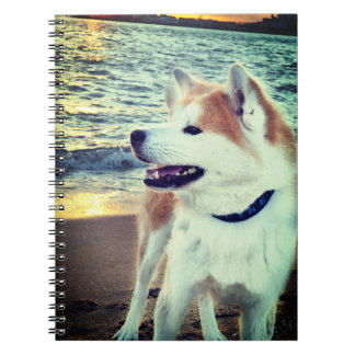 Akita Notebook
