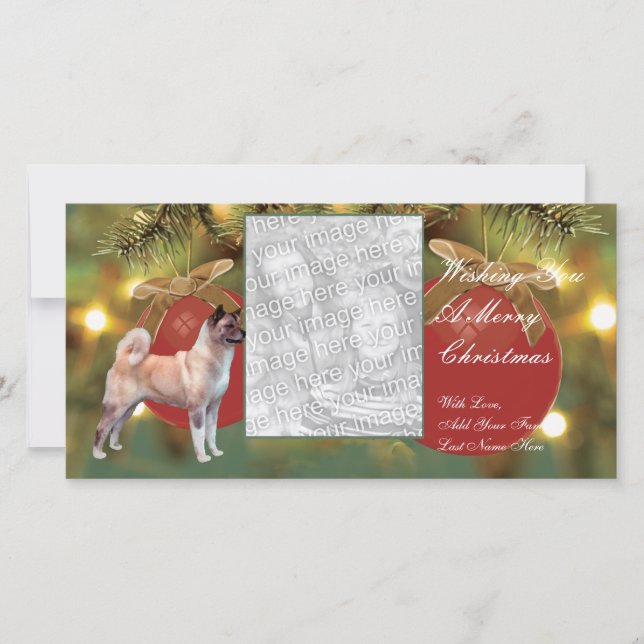Akita Ornament Christmas Photocard Holiday Card (Front)