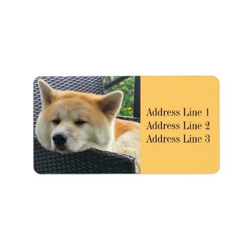 Akita Photo Address Label