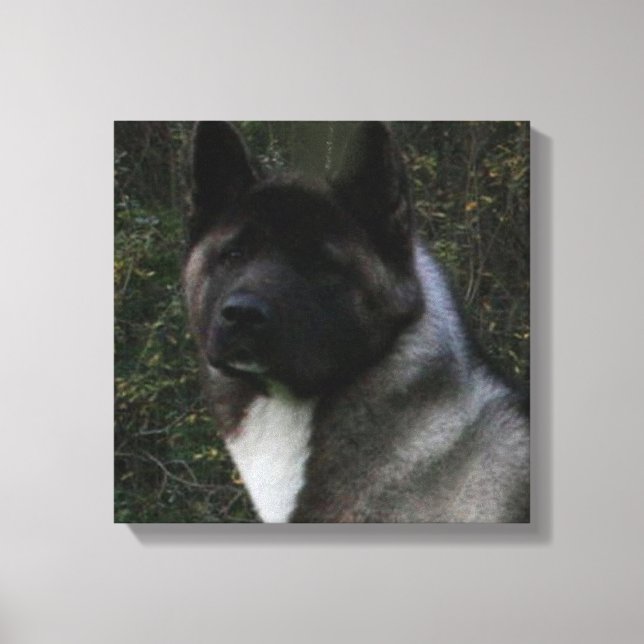 akita pinto black mask canvas print (Front)