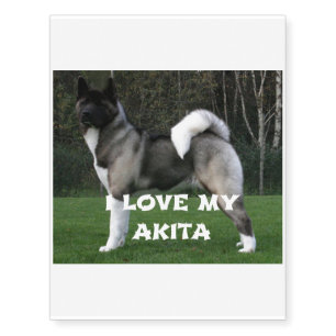 akita pinto black mask full love w pic temporary tattoos