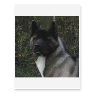akita pinto black mask temporary tattoos