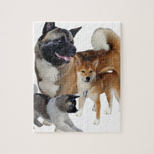Akita Play Jigsaw Puzzle (Vertical)